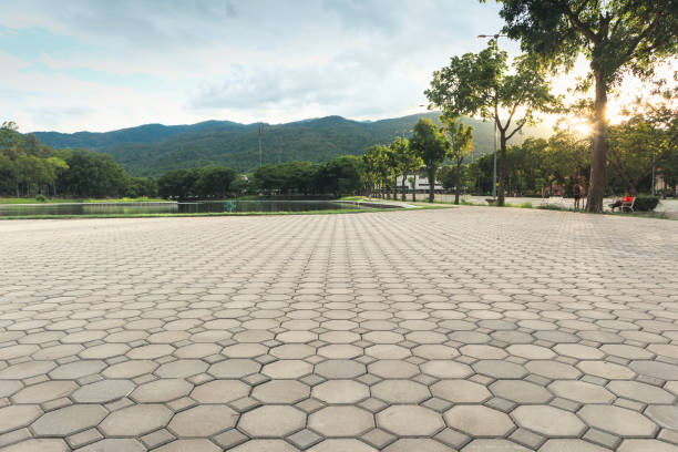 Best Driveway Paver Repairs and Restoration in Bonanza, GA